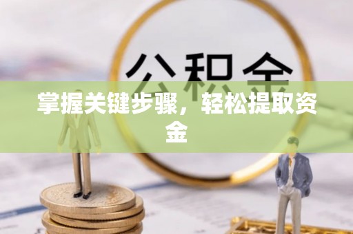 沛县掌握关键步骤，轻松提取资金